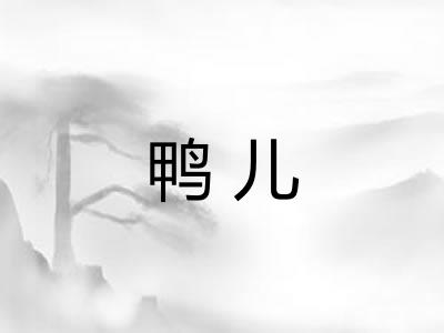 鸭儿 鸭儿