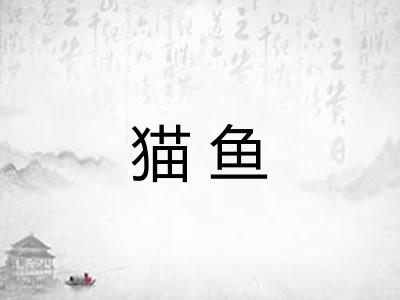 猫鱼 猫鱼