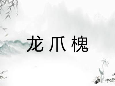 龙爪槐 龙爪槐