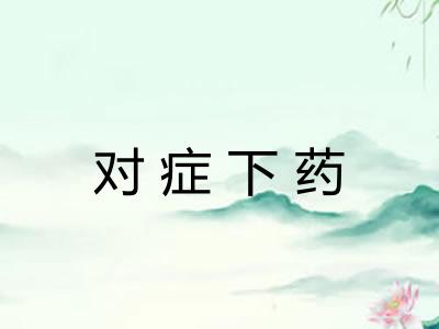 对症下药 对症下药